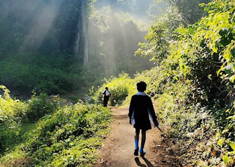 Mukuzhi - Sabarimala Forest Path