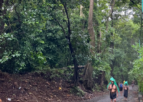 Irumboonnikkara Forest Path