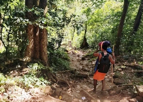 Perur Thodu Forest Path